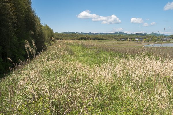 ギンイチモンジセセリ生息地