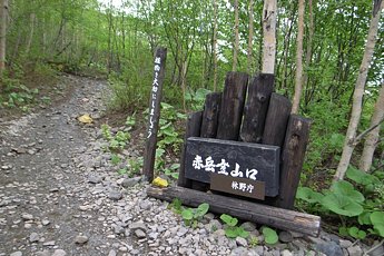 銀泉台より駒草平への登山道